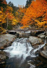 Fototapeta na wymiar Colorful Autumn creek