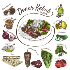 Vector illustration of doner kebab ingredients
