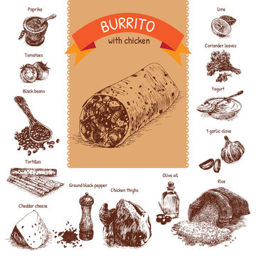 Vector illustration of burrito ingredients