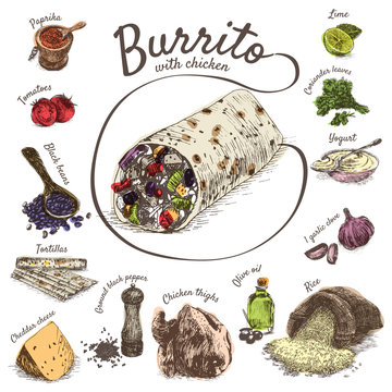 Vector illustration of burrito ingredients