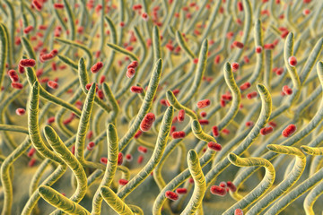 Klebsiella pneumoniae bacteria in respiratory tract, 3D illustration. Bacteria which cause pneumonia and infections of different location. Illustration shows cilia of respiratory tract and bacteria