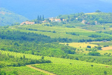 Naklejka premium Typical landscape in Istria region in Croatia