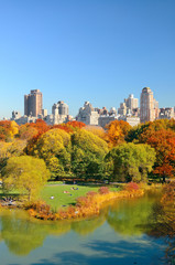 Central Park Autumn