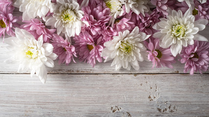 White and pink flowers on the white wooden background top view