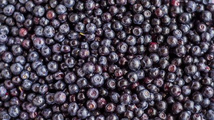 fresh blueberries