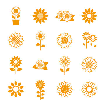 Sunflower icon set