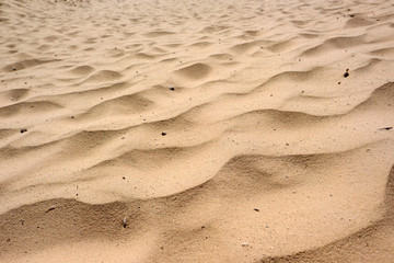 Sandy background at dunes