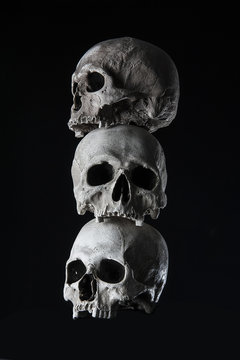 Human skulls stacked