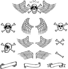Skull and Wings