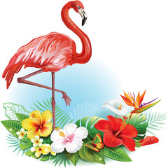 Fototapeta premium Arrangement from tropical flowers and Flamingo