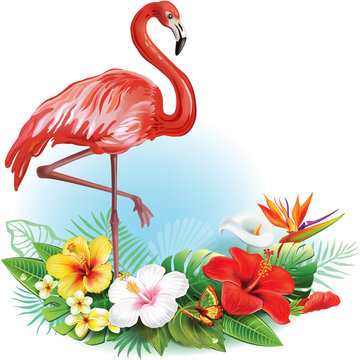 Arrangement from tropical flowers and Flamingo
