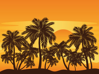 Obraz na płótnie Canvas Palm Tree at Sunset