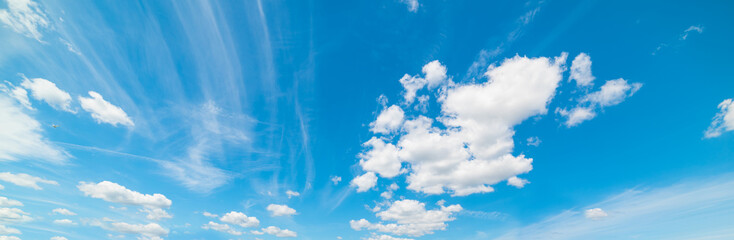 white soft clouds in the sky