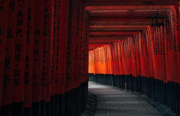 Fushimi Inari, Kyoto, Japan 伏見稲荷大社 千本鳥居