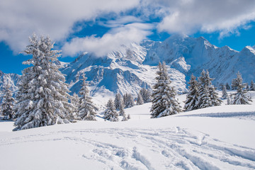 Fototapeta na wymiar Mont Blanc winter