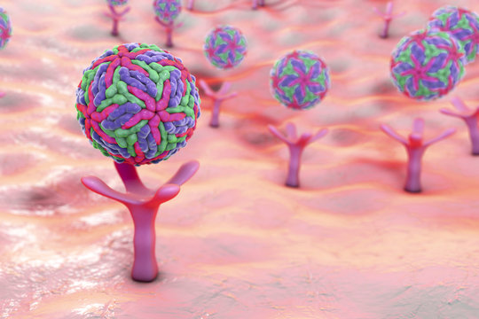 Zika virus attaching to AXL receptor on the surface of a neural stem cell, 3D illustration. Zika virus causes Zika fever leading to microcephaly in newborns