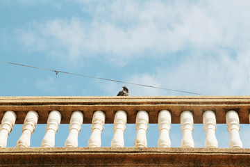 Fototapeta na wymiar balustrade with bird on pillar on sky background