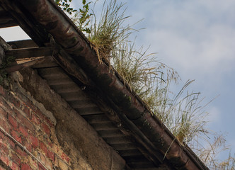 Factory gutter and grass growing in it © Bascar