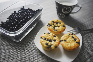 Homemade Blueberry Muffins with fresh blueberry, milk, blueberry