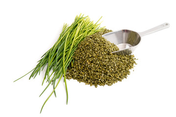 Schnittlauch - frisch und getrocknet