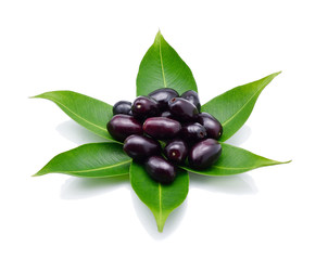 Jambolan plum, Java plum (Syzygium cumini) on white background