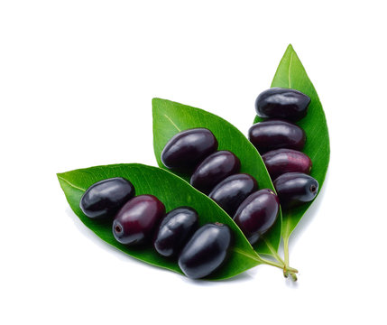 Jambolan plum, Java plum (Syzygium cumini) isolate on white back