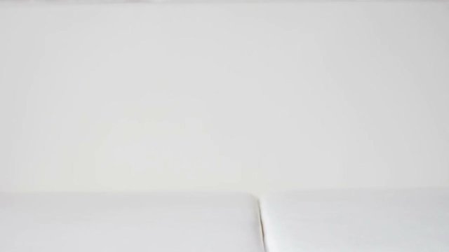 Little furry kitten playing with paper butterfly (slow motion) 3