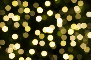 Abstract bokeh background of Christmaslight
