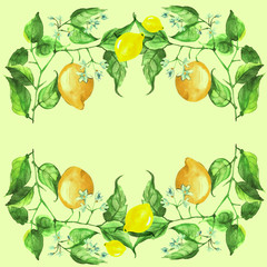 Frame for invitations, greeting cards and other design. From watercolor elements - fruits, lemon, flowers and lemon leaves.