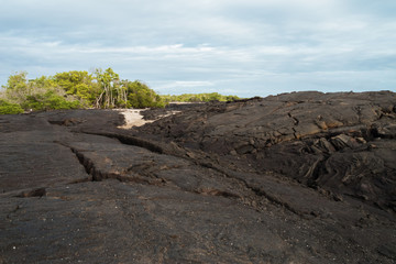 Giant lava flow with ropy pahoehoe on Fernandina