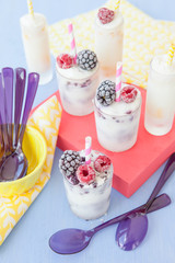 Hausgemachtes Joghurteis mit Fruechten