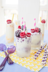 Hausgemachtes Joghurteis mit Fruechten