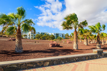 Fototapeta premium Coastal promenade with palm trees in Las Playitas village, Fuerteventura, Canary Islands, Spain