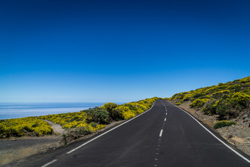 Blütenmeer auf dem Roque de los Muchachos auf la Palma