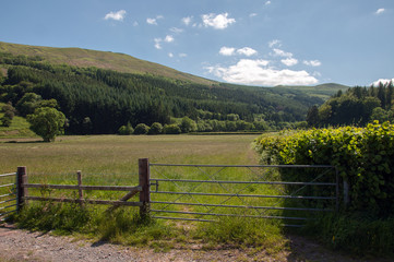 Fototapeta na wymiar Gate in the countryside.