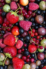 Obraz na płótnie Canvas berry background with fresh raspberries, blueberries, currants, strawberries, cherries,