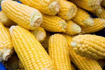 Corn cobs