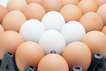 Chicken eggs and duck eggs