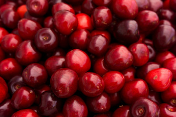red cherry background.  Red ripe delicious cherries