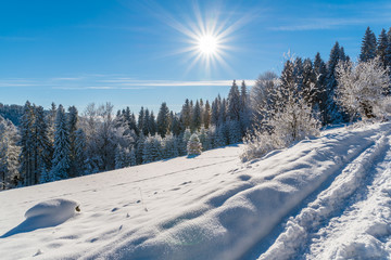 Fototapeta na wymiar Winter trees in Beskid Sadecki Mountains with sun on blue sky, Poland