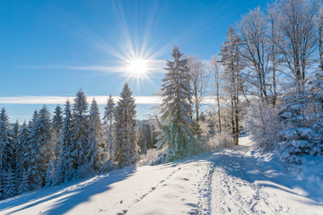 Winter trees and road in Beskid Sadecki Mountains with sun on blue sky, Poland
