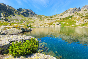 Fototapeta na wymiar View of beautiful alpine lake in summer landscape of Starolesna valley, High Tatra Mountains, Slovakia
