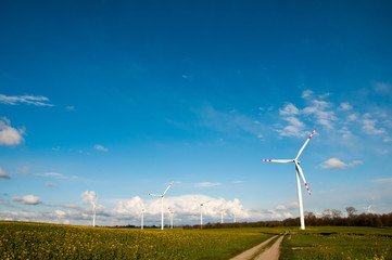 Wind turbines on the field