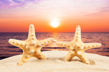 Fototapeta na wymiar Summer concept. starfish on a beach