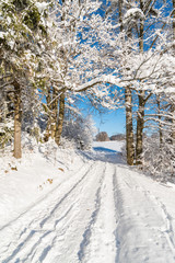 Winter path in Beskid Sadecki Mountains with sun on blue sky, Poland