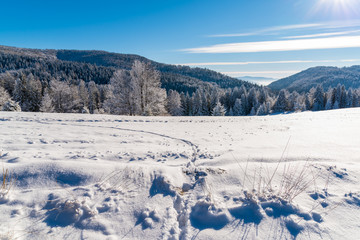 Winter landscape of Beskid Sadecki Mountains on sunny day, Poland