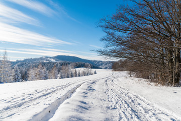 Fototapeta na wymiar Winter path in Beskid Sadecki Mountains on sunny day, Poland