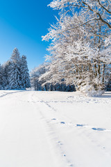 Winter landscape of Beskid Sadecki Mountains on sunny day, Poland