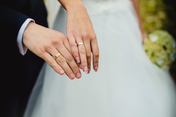 Newly wed couple's hands with wedding rings