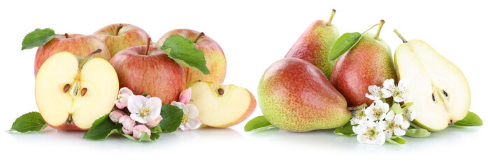 Apfel und Birne Äpfel Birnen Frucht rote frische Früchte Obst